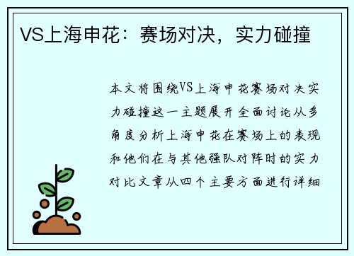 VS上海申花：赛场对决，实力碰撞
