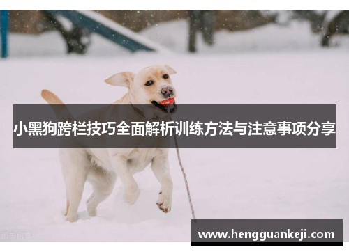小黑狗跨栏技巧全面解析训练方法与注意事项分享